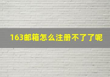 163邮箱怎么注册不了了呢