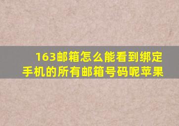 163邮箱怎么能看到绑定手机的所有邮箱号码呢苹果