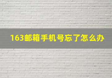 163邮箱手机号忘了怎么办