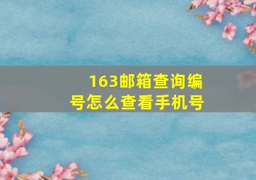 163邮箱查询编号怎么查看手机号