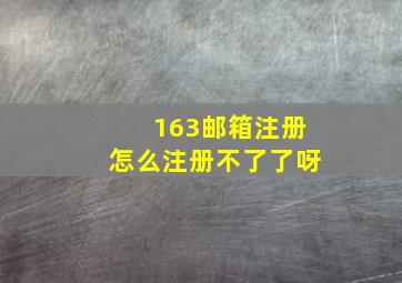 163邮箱注册怎么注册不了了呀