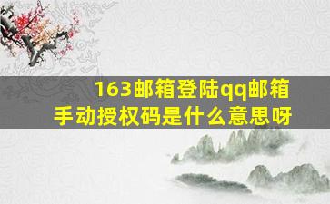 163邮箱登陆qq邮箱手动授权码是什么意思呀