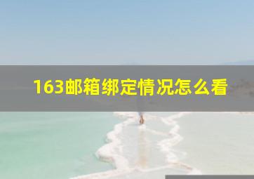 163邮箱绑定情况怎么看