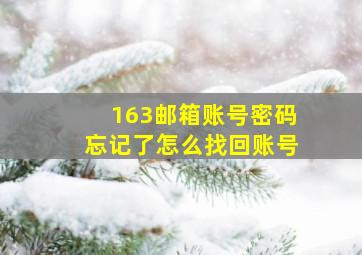 163邮箱账号密码忘记了怎么找回账号