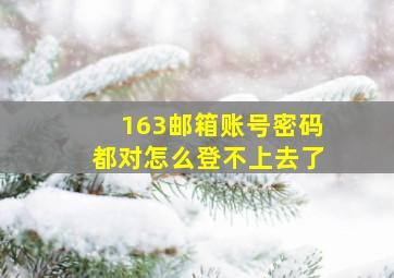 163邮箱账号密码都对怎么登不上去了