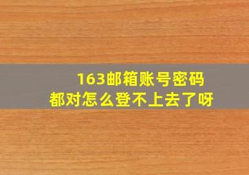 163邮箱账号密码都对怎么登不上去了呀