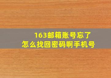 163邮箱账号忘了怎么找回密码啊手机号