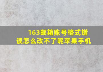 163邮箱账号格式错误怎么改不了呢苹果手机