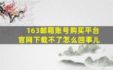 163邮箱账号购买平台官网下载不了怎么回事儿