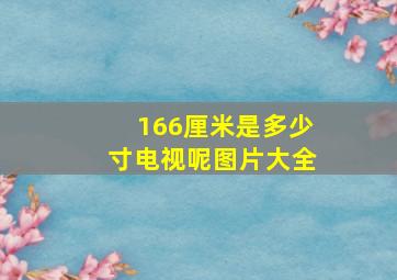 166厘米是多少寸电视呢图片大全