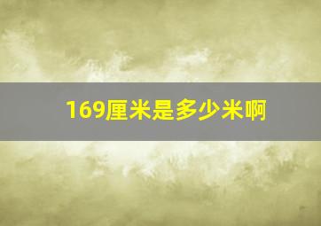 169厘米是多少米啊