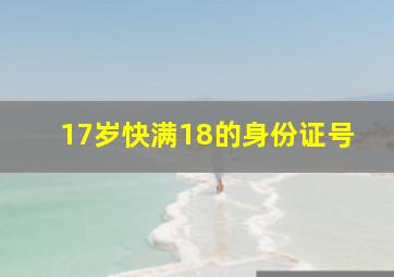 17岁快满18的身份证号