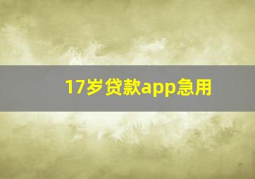 17岁贷款app急用