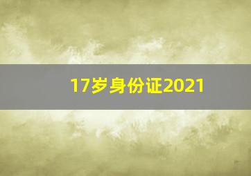 17岁身份证2021