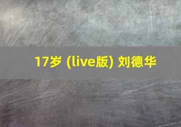 17岁 (live版) 刘德华