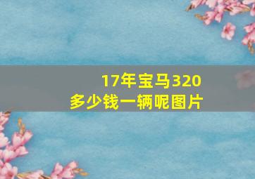 17年宝马320多少钱一辆呢图片