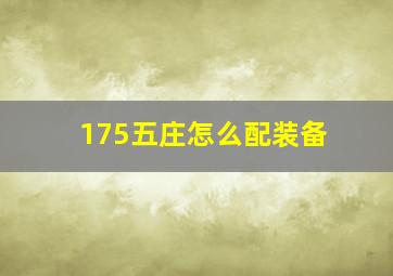 175五庄怎么配装备