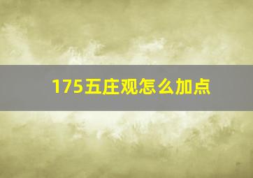 175五庄观怎么加点