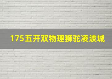 175五开双物理狮驼凌波城