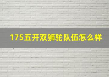 175五开双狮驼队伍怎么样