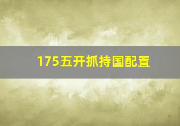 175五开抓持国配置