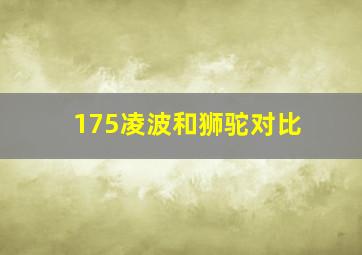 175凌波和狮驼对比