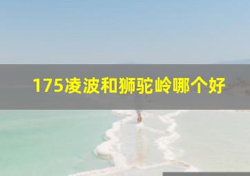 175凌波和狮驼岭哪个好