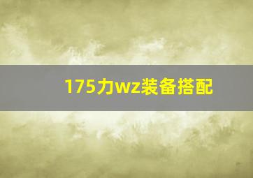 175力wz装备搭配