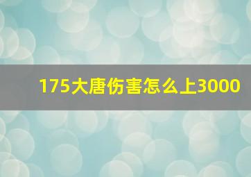 175大唐伤害怎么上3000