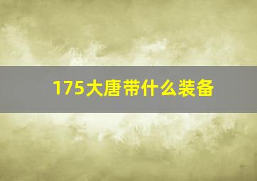 175大唐带什么装备