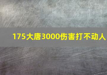 175大唐3000伤害打不动人