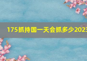 175抓持国一天会抓多少2023