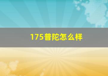 175普陀怎么样