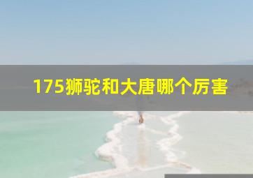 175狮驼和大唐哪个厉害