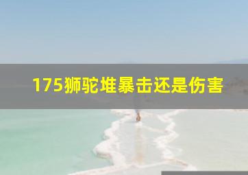 175狮驼堆暴击还是伤害