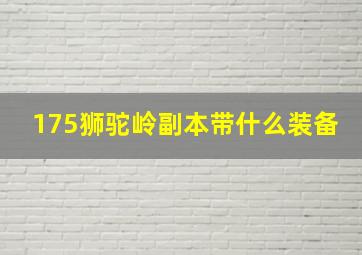 175狮驼岭副本带什么装备