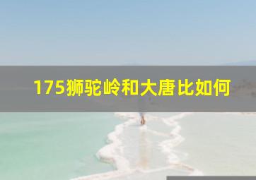 175狮驼岭和大唐比如何