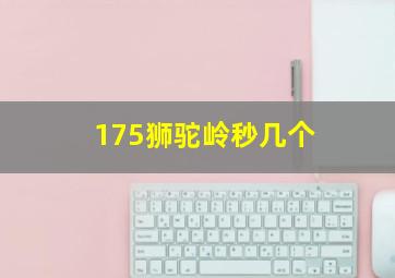 175狮驼岭秒几个