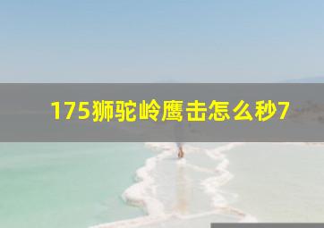 175狮驼岭鹰击怎么秒7