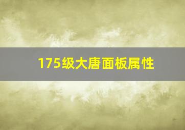 175级大唐面板属性