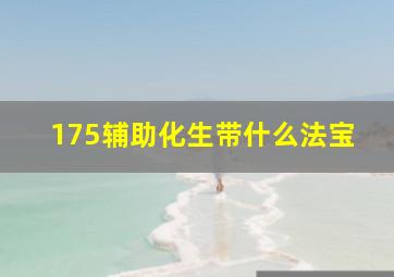 175辅助化生带什么法宝