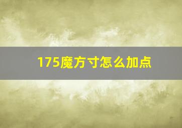 175魔方寸怎么加点