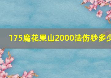 175魔花果山2000法伤秒多少