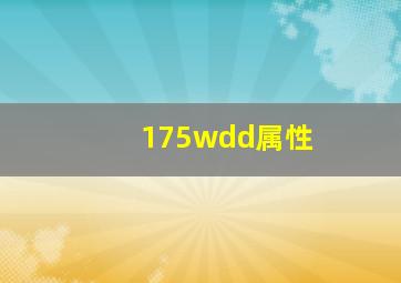 175wdd属性