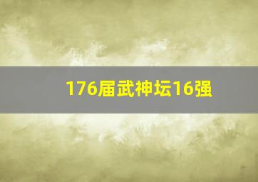 176届武神坛16强