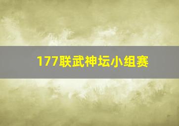 177联武神坛小组赛