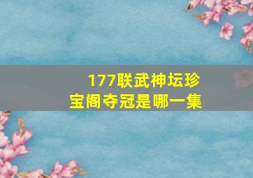 177联武神坛珍宝阁夺冠是哪一集