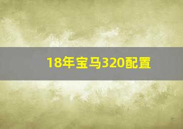 18年宝马320配置