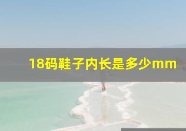 18码鞋子内长是多少mm