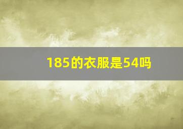 185的衣服是54吗